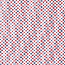 Load image into Gallery viewer, Star Spangled Check Patriotic
