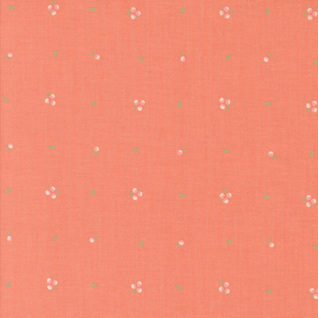 Abloom Little Sprout Coral