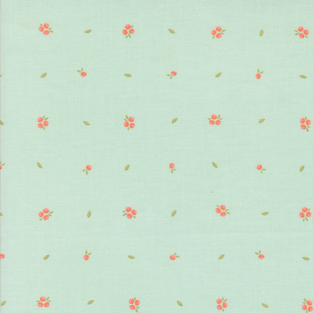 Abloom Little Sprout Robins Egg