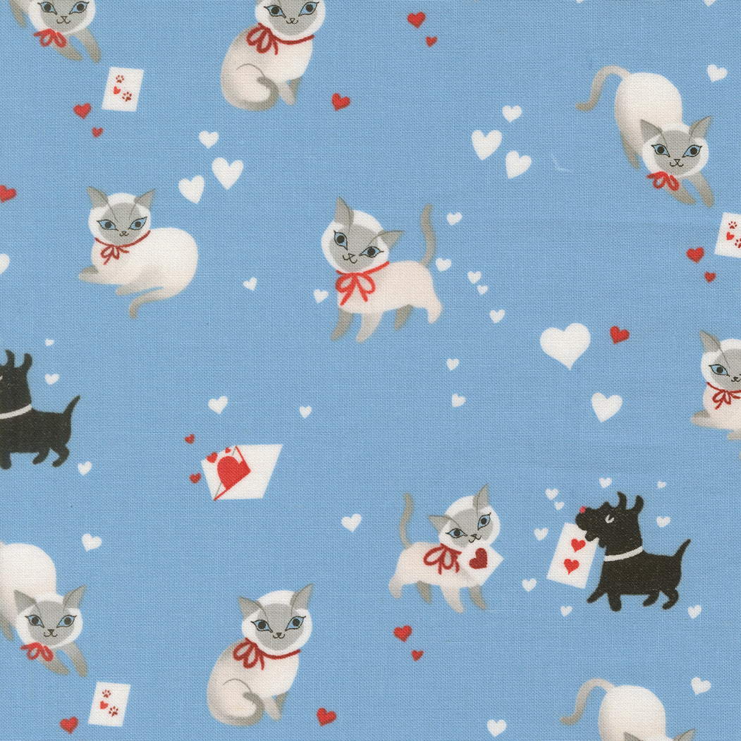 Funny Valentine Cats and Dogs Sky
