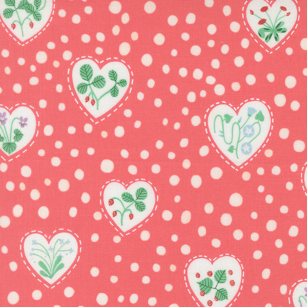 Funny Valentine Hearts Coral
