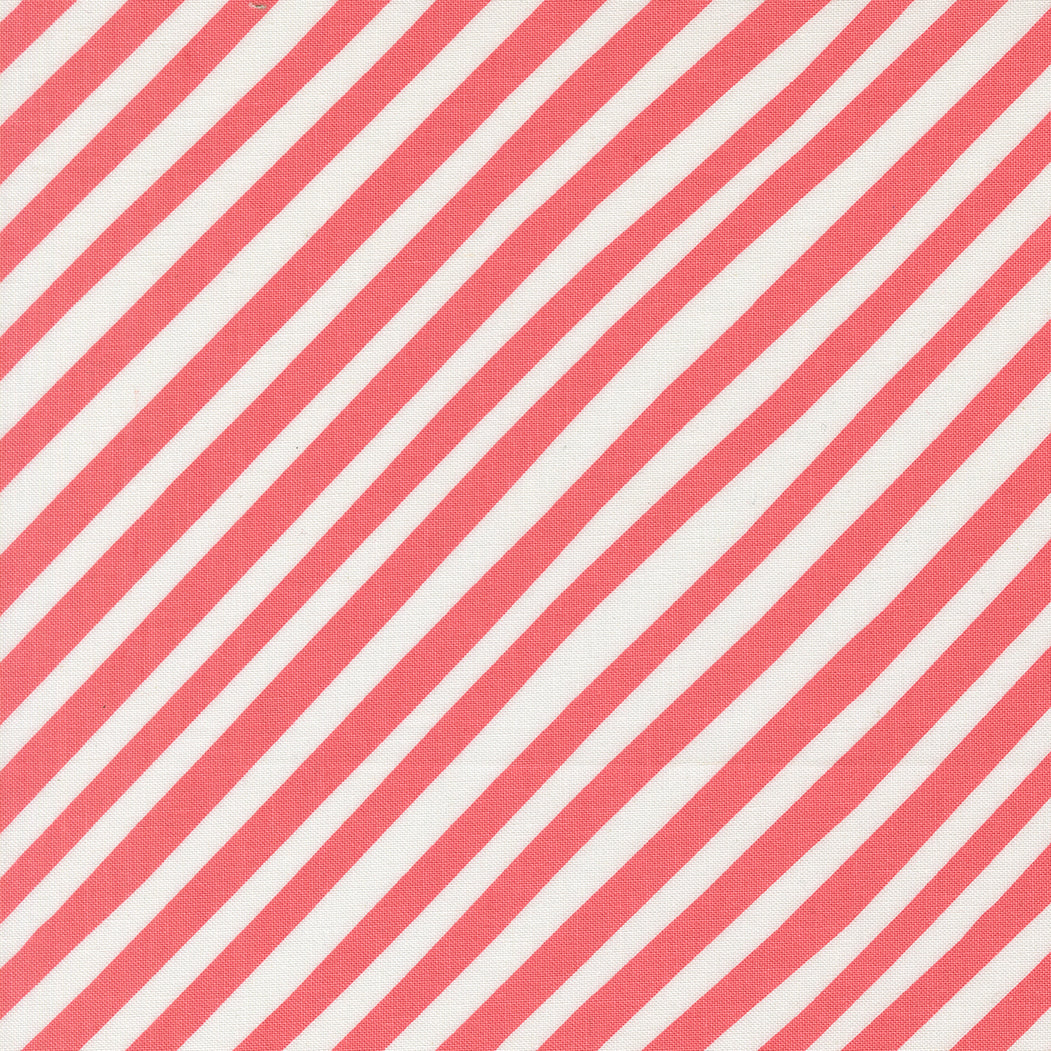 Funny Valentine Stripes Coral