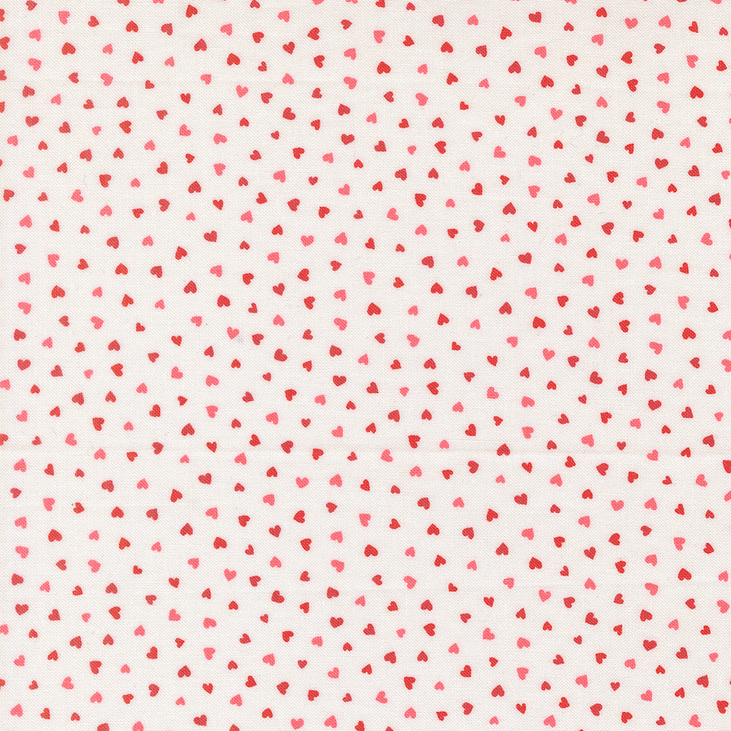 Funny Valentine Tiny Hearts Champagne