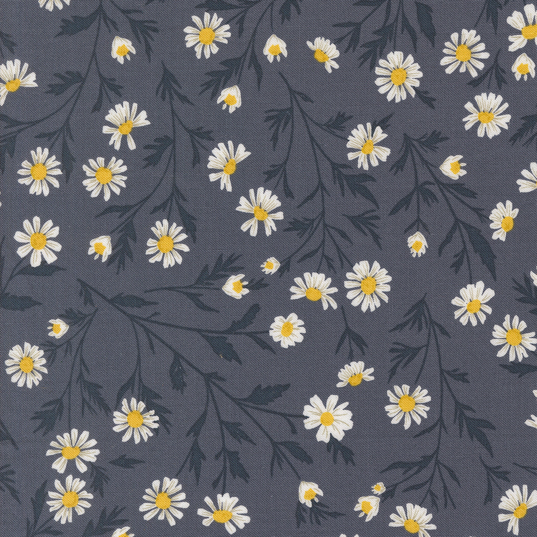 Sun Drenched Wild Daisy Indigo