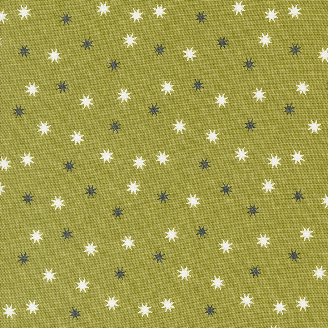 Hey Boo Stars Witchy Green