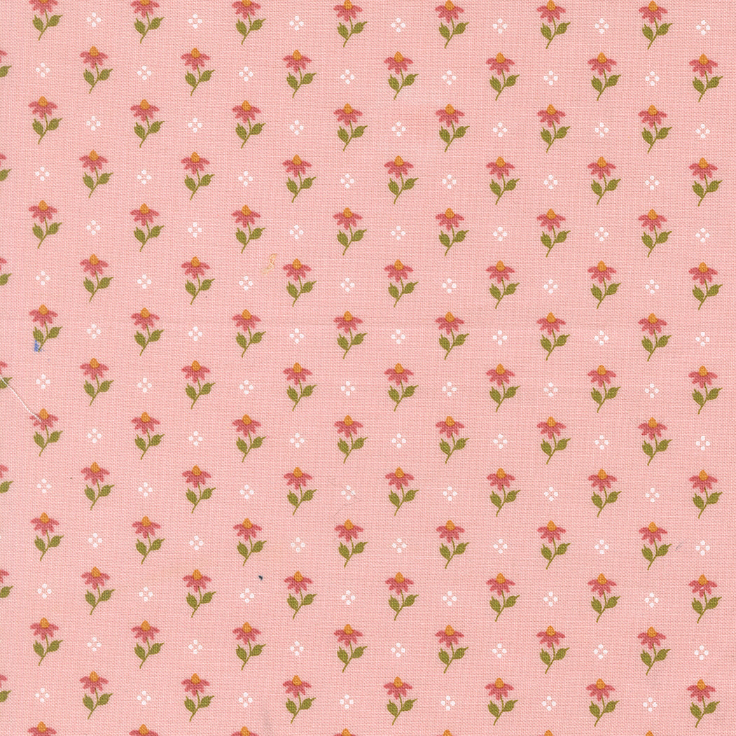 Wild Honey Small Floral Carnation