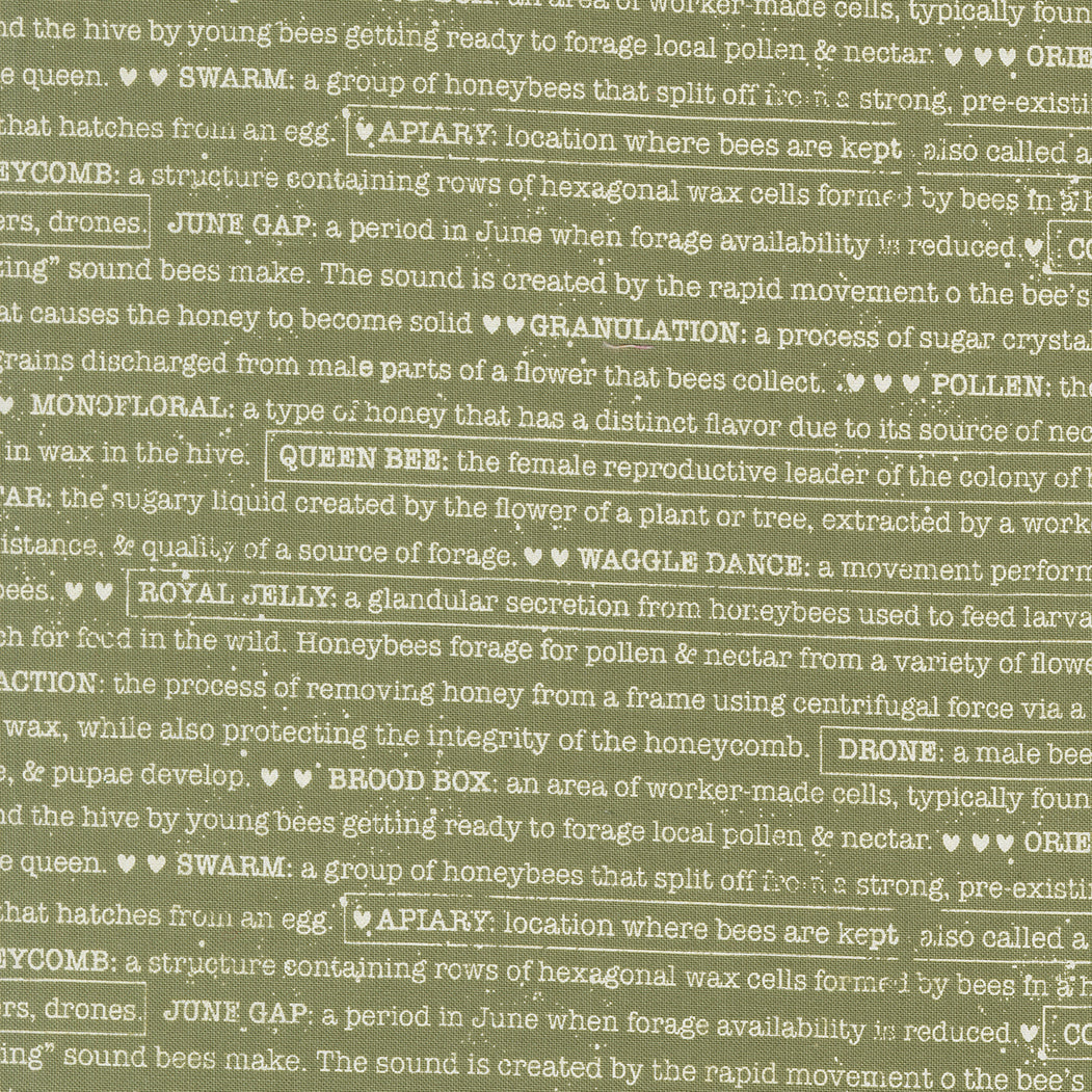 Wild Honey Text Fern