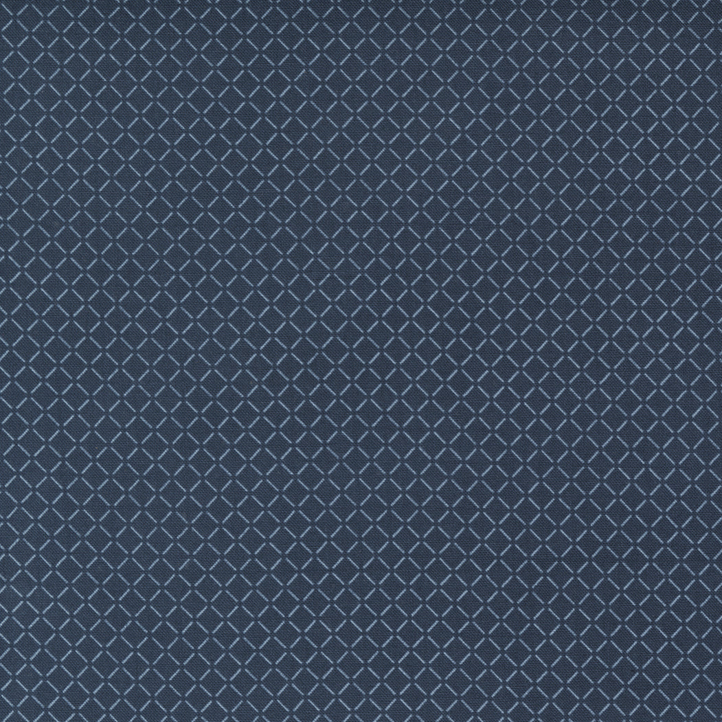Nantucket Summer Sail Check Navy
