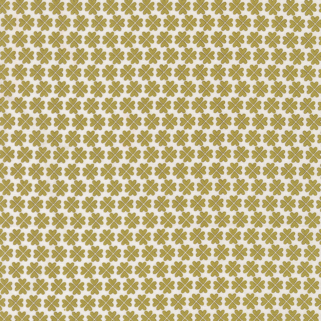Lucky Feeling Lucky Grass
