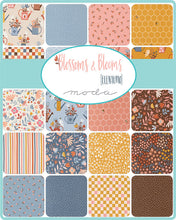 Load image into Gallery viewer, Blossoms and Blooms Charm Pack
