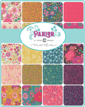 Load image into Gallery viewer, Parlor Jelly Roll
