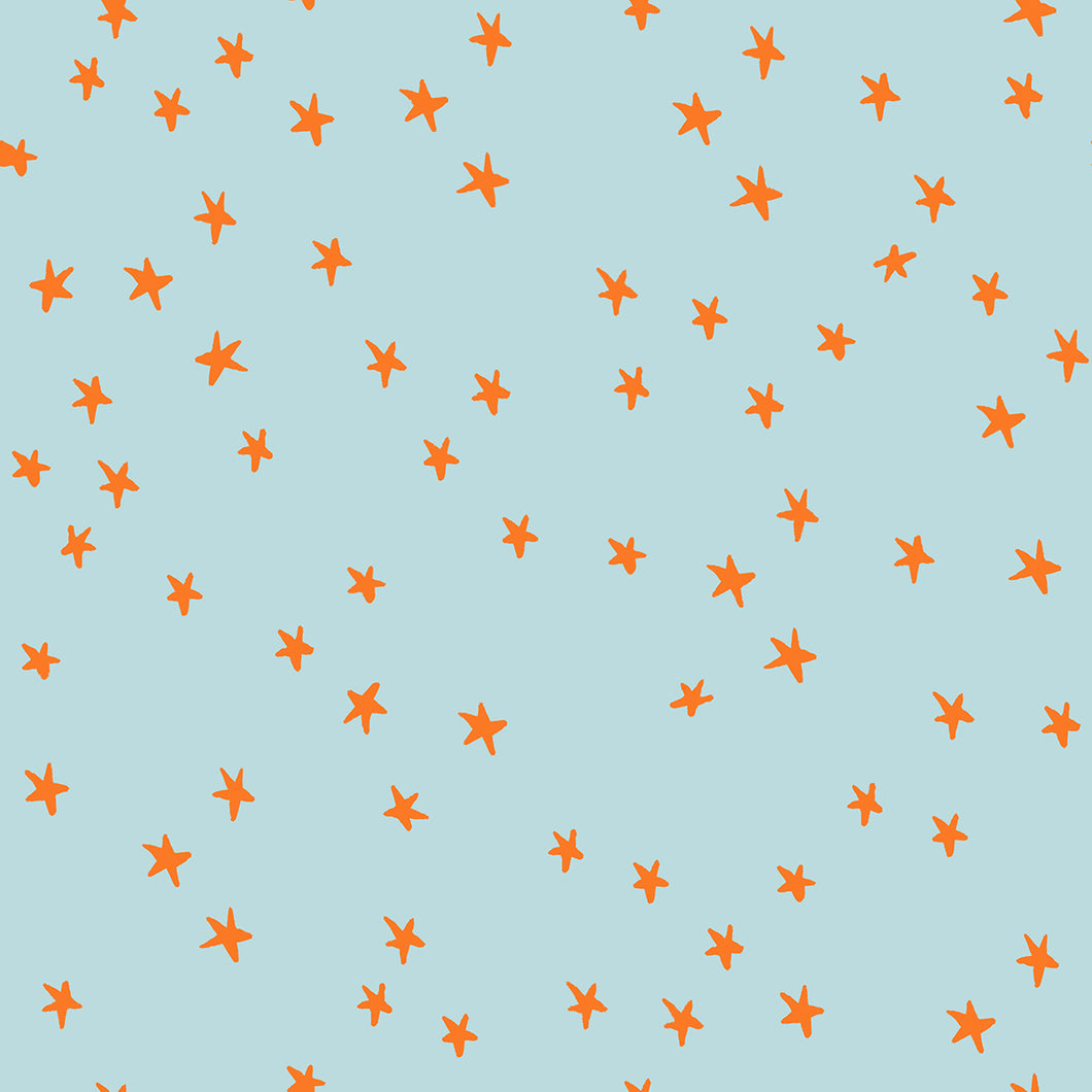 Starry New Polar