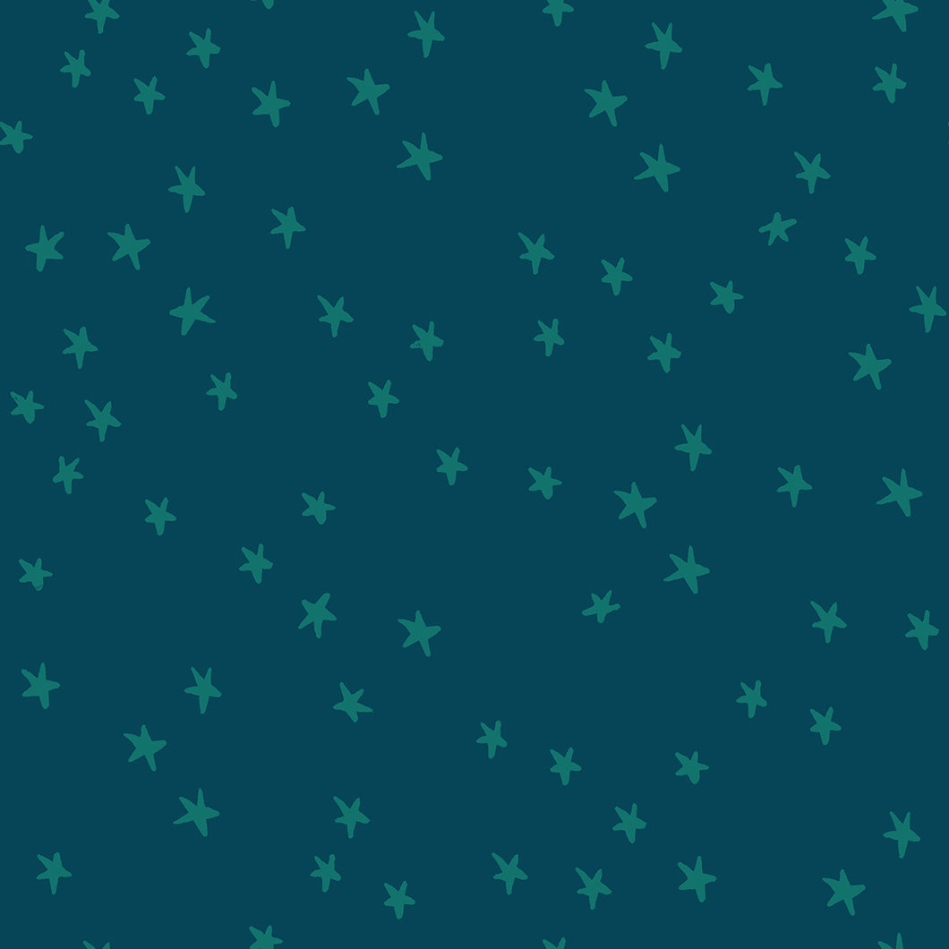 Starry New Galaxy
