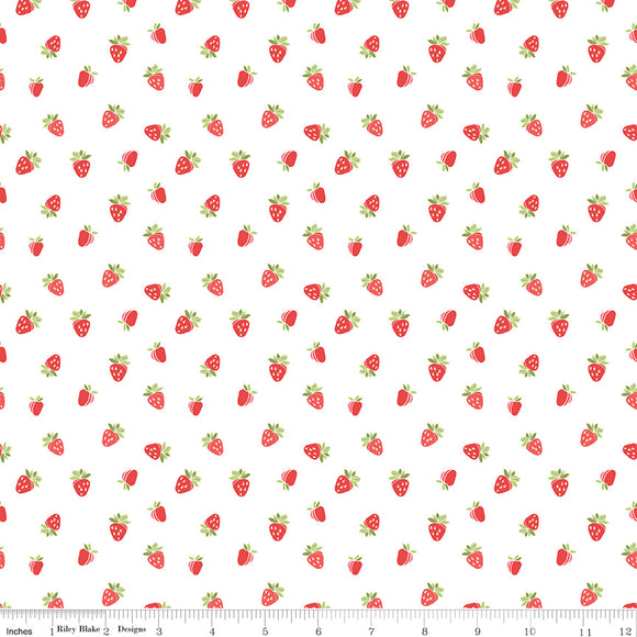 Strawberry Honey Strawberries White