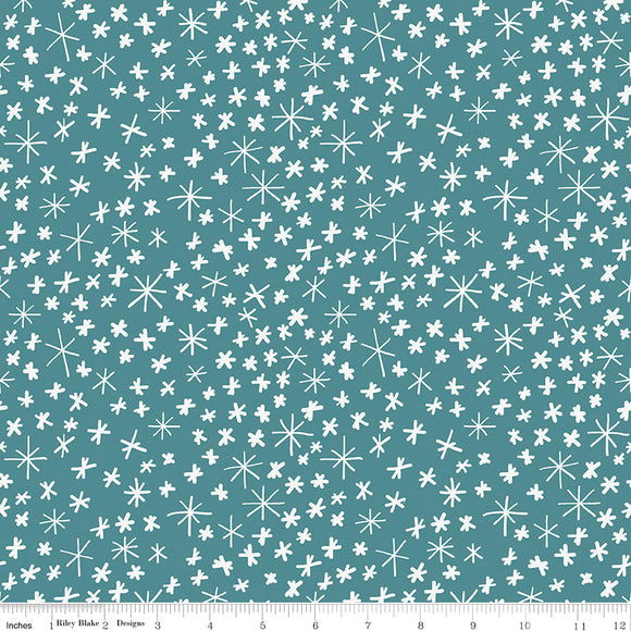 Fabric - Riley Blake Designs - Nice Ice Baby Snowflakes Mint - Half Yard