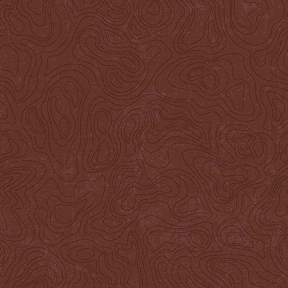National Parks Topographic Brown