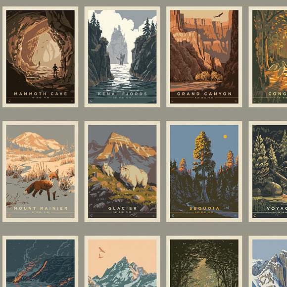 National Parks Postcard Postcards Gray