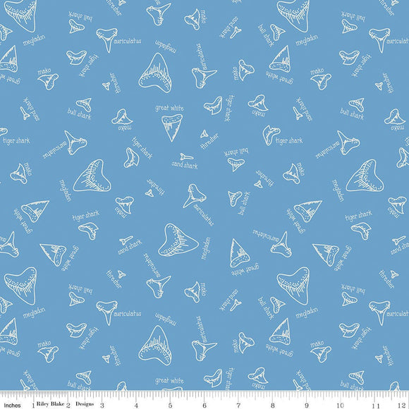 Riptide Fossils Blue