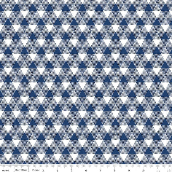 Land of Liberty Triangle Gingham Navy