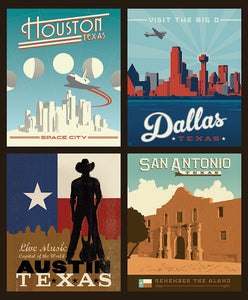 Destinations Texas Cities Pillow Panel